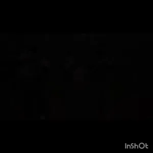 1769100526358
